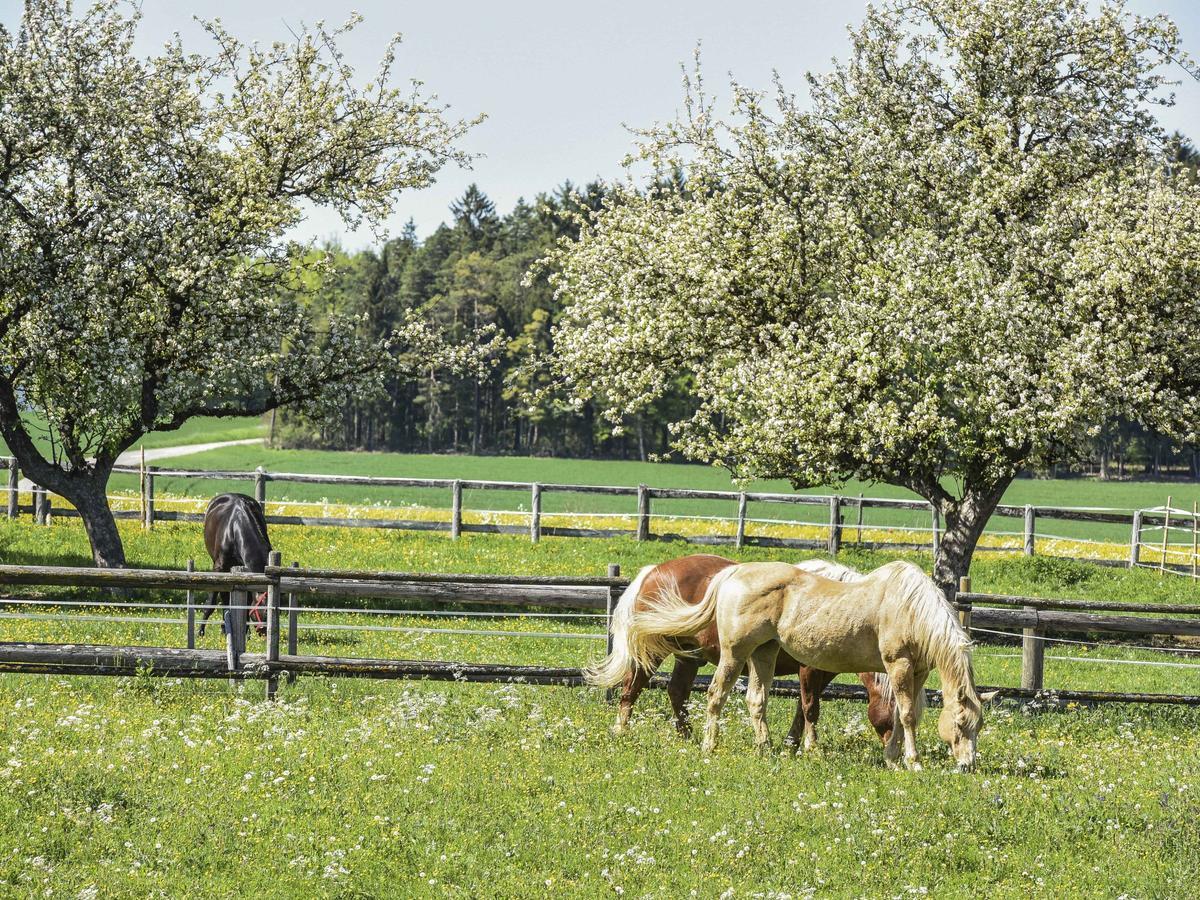 Ferienwohnung Im Weiler Winterlingen Zewnętrze zdjęcie